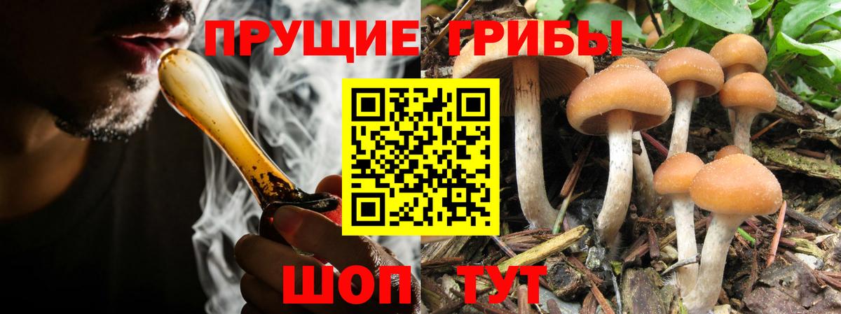 Галлюциногенные грибы GOLDEN TEACHER Орск